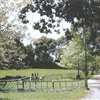 The original entrance to the school